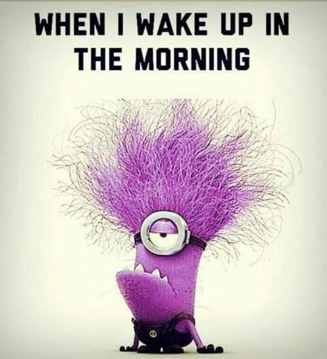 Evil Minion, Purple Minion, Purple Minions, Minions Humor, Funny Minion Pictures, Funny Minion Memes, Morning Hair, Minion Pictures, Minion Jokes