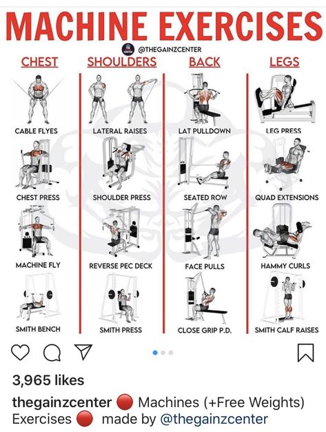 Planning Sport, Machine Exercises, Gym Workouts Machines, Machine Workouts, Back And Shoulder Workout, Cable Workout, Gym Workout Guide, Gym Workout Plan, Work Out Routines Gym