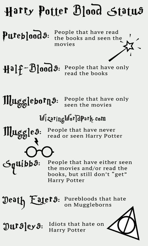 Harry Potter Terminology, What Is Your Harry Potter Name, Harry Potter Notes Ideas, Harry Potter Books Vs Movies, Harry Potter Harry Aesthetic, Harry Potter Diary Ideas, Harry Potter Last Names, Harry Potter Subjects, Harry Potter Status