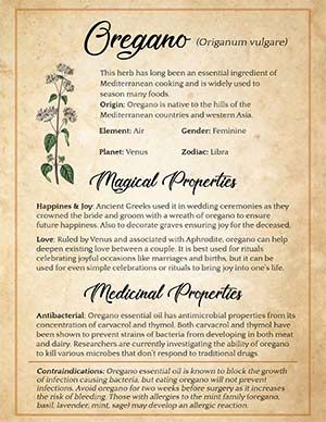 Wicca For Beginners, Tarot Significado, Magickal Herbs, Witch Herbs, Magic Herbs, Grimoire Book, Magical Herbs, Wiccan Spell Book, Witchcraft Spell Books