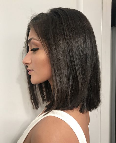 Rich Chocolate brown hair color with a blunt bob haircut Shoulder Length Hair, Layered Bob Hairstyles, Shoulder Length Hair Cuts, Short Straight Hair, Haircuts For Medium Hair, Long Bob Hairstyles, Hair Life, Medium Length Hair Cuts, Balayage Hair