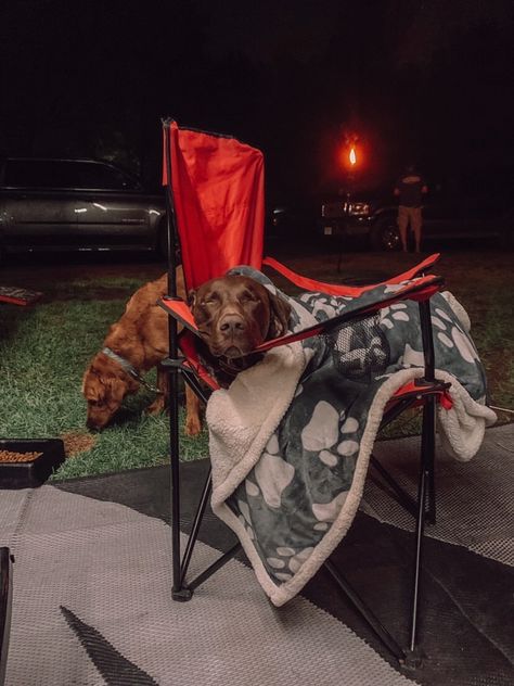 #campfire #camping #glamping #dog #cutedog Car Camping With Dogs, Camping With Dog Aesthetic, Camping With Golden Retriever, Dogs Camping, Hiking With Dogs Aesthetic, Camping With Dogs, Camping Dog, Dog Camping, Camping Blanket