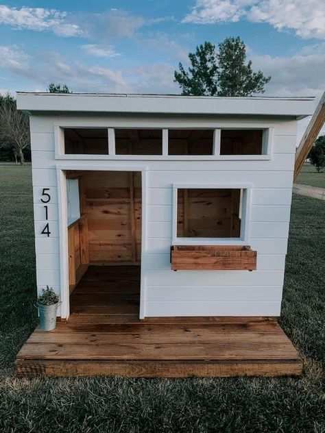 Outdoor Dog Kennel Ideas, Small House Decor, Dog Kennel Ideas, Backyard Dog Area, Dog Play Area, Kennel Ideas Outdoor, Outdoor Dog Kennel, Kennel Ideas, Puppy Room