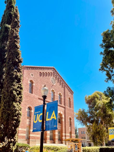 Ucla Soccer Aesthetic, Ucla College Aesthetic, Ucla Medical School, Ucla Law School, California University Aesthetic, Ucla Vision Board, Ucla Acceptance Letter, Ucla Campus Aesthetic, Cafe Dark Academia