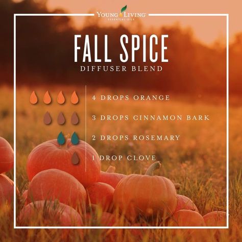 Fall Essential Oil Blends, Fall Essential Oils, Fall Diffuser Blends, Essential Oil Combinations, Doterra Essential Oils Recipes, Essential Oil Diffuser Blends Recipes, Young Living Essential Oils Recipes, Essential Oil Diffuser Recipes, Essential Oil Mixes