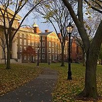 Plants, University, Brown University Campus, University Office, Office Photos, Brown University, Top Colleges, University Campus, Tree Trunk