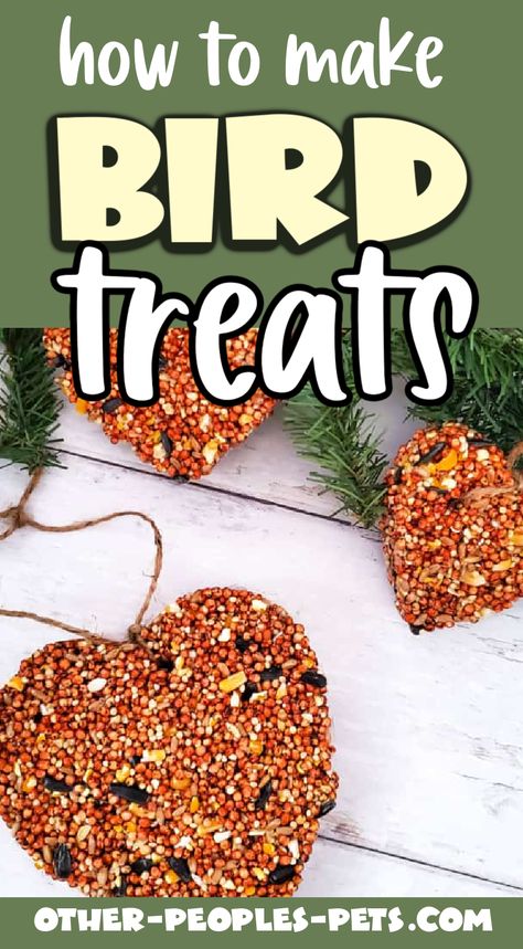 Wondering how to make bird treats? Check out my recipe for wild bird treats that you can make with bird seed for backyard birds. Home Made Bird Food, Diy Bird Seed Cakes, Homemade Bird Treats, Bird Treats Homemade, Bird Food Recipes, Homemade Bird Food, Bird Seed Cakes, Bird Seed Crafts, Edible Birdhouse