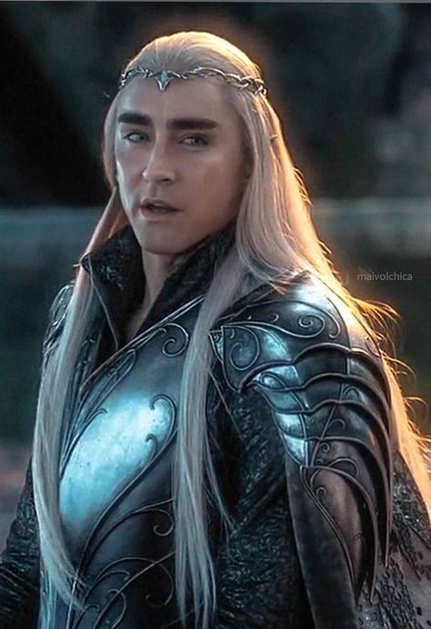 Thranduil Cosplay Elf, The Hobbit Thranduil, Legolas And Tauriel, Lee Pace Thranduil, Elf King, Legolas And Thranduil, Seshomaru Y Rin, Long White Hair, Tolkien Elves