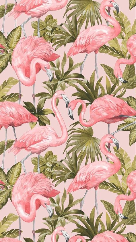 Flamingos Wallpaper Blush, Pink Flamingo Wallpaper, I Love Wallpaper, Wallpaper Rose, Flamingo Wallpaper, Coloured Background, Detailed Artwork, Flamingo Art, Decoration Photo