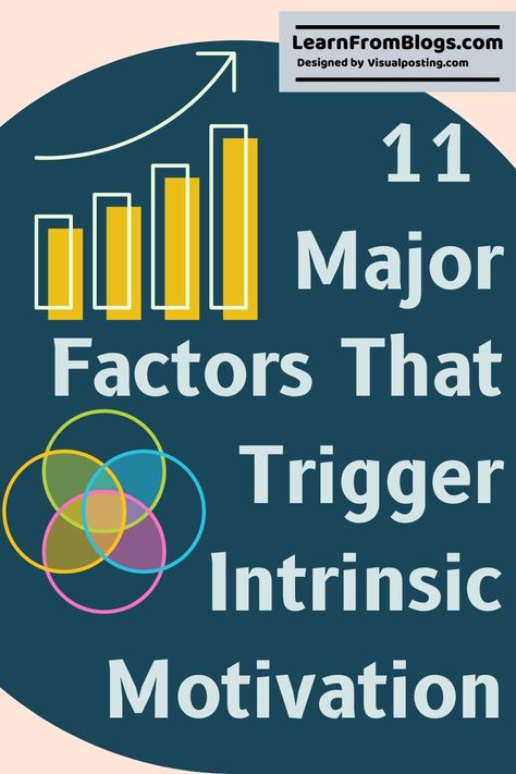 Intrinsic Motivation For Kids, Types Of Motivation, Educational Therapy, Motivation For Kids, Mind Health, Creating A Bullet Journal, Sports Psychology, Intrinsic Motivation, Self Efficacy