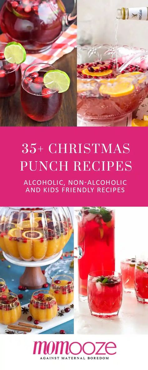 35+ Easy Christmas Punch | momooze.com Easy Christmas Punch Recipes, White Christmas Sangria Recipe, Pomegranate Punch Recipes, Best Christmas Punch, Holiday Punch Recipes, Easy Christmas Punch, Christmas Party Punch, Best Christmas Punch Recipe, Apple Sangria Recipes