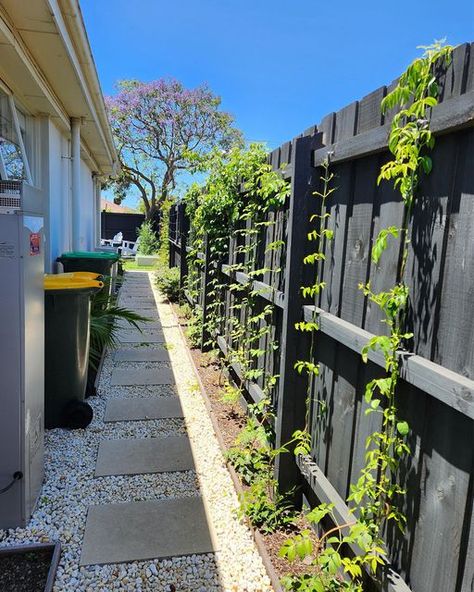 Side Walkway Ideas Pathways, Charcoal Fence, House Pathway, Backyard Grass Landscaping, Pebble Landscaping, Grass Pavers, Pathway Ideas, Intimate Garden, Side Yard Landscaping