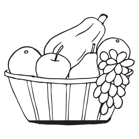 Fruit Basket Drawing, Fruit Sketch, Kids Fruit, Vegetable Pictures, Basket Drawing, Fruit Coloring Pages, Fruits Drawing, Fruits For Kids, Fruits Basket Anime