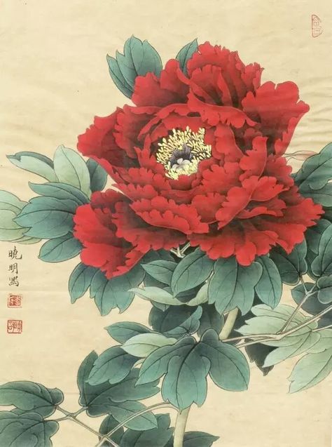 Japanese Drawing, Japanese Flower Tattoo, Asian Flowers, Japan Painting, Peony Painting, Macro Flower, Japon Illustration, Floral Drawing, Japanese Tattoo Art