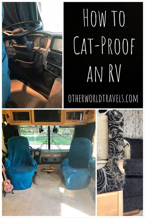 Rv Cat, Rv Pet, Biting People, Camping With Cats, Rv Dreams, Cats Happy, Living With Cats, Cat Proofing, Adventure Cat