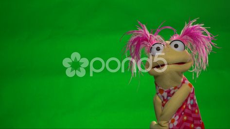 Muppet green screen  side to side Stock Footage #AD ,#screen#green#Footage#Muppet Side To Side, Alpha Channel, Green Screen, Children Illustration, Photo Illustration, Stock Video, Stock Footage, Screen, Illustrations