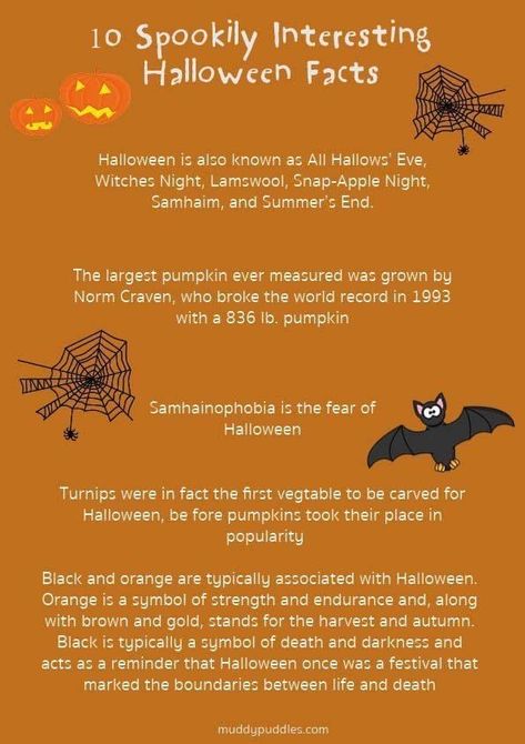 Movie Character Party, Halloween Definition, Halloween Meaning, Holiday Crafts Halloween, History Of Halloween, Halloween Writing Prompts, Halloween History, What Is Halloween, Halloween Facts