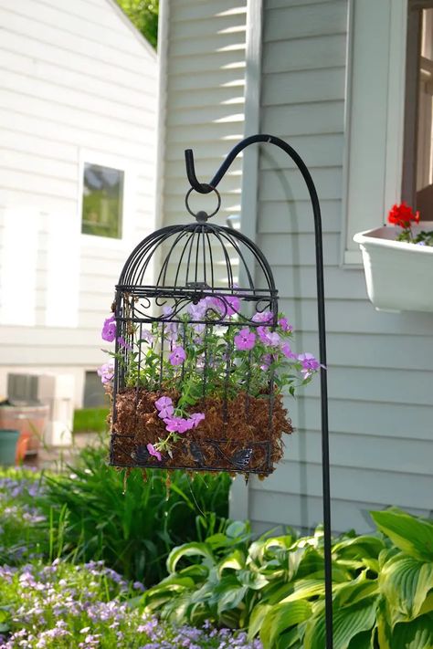 Birdcage Planter, Diy Bird Cage, Taman Vintage, Cage Decor, Bird Cage Decor, Garden Types, Birdcages, Vintage Garden Decor, Garden Containers