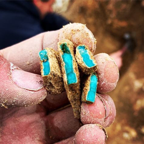 Jesse Robbins on mining "Misty Blue"  #mining #miningturquoise #jesserobbinsjewelry #history #hisstory #turquoise #mistyblue Rock Hounding Utah, Silversmith Jewellery, Rock Hunting, Raw Turquoise, I Love The Beach, Rock Hounding, Wire Art, Turquoise Gemstone, On Vacation