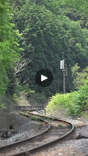 Old Trains Steam Locomotive, Train Tunnel, Old Steam Train, Scenic Train Rides, Railroad Photos, Old Trains, Electric Train, Steam Trains, Steam Locomotive