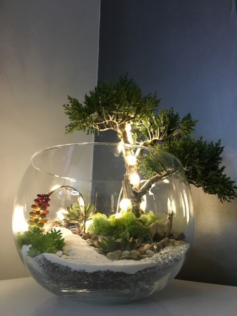 Terrarios Suculentas Ideas, Small Terrarium Ideas, Plant Ideas Indoor, Indoor Plant Hacks, Indoor Plant Ideas, Plant In Glass, Indoor Plants Styling, Diy Succulent Terrarium, Plants In Jars