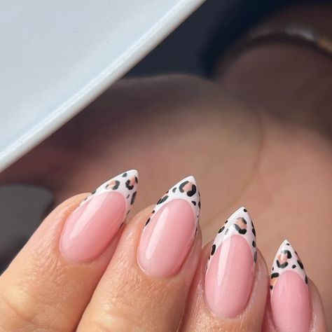 Melissa💗 on Instagram: "Leopard print tips🤎  Products- @dali.artistic  🤎champagne blush groX 🤎chai   #Acrylicnails#nails#squarenails#coffinnails#nailappointments#nailtech#gelnails#nailart#nailinspo#nailsnailsnails#cutieprouk#postmedali#dalisundayspotlight#grogelnails#grogel#leopardprintnails#leopardprintnailart" Pale Pink Leopard Print Nails, Leopard Almond Nails Cheetah Print, Almond Nails Cheetah, Leopard Almond Nails, Pink Leopard Print Nails, Pro Nails, Cheetah Print Nails, Cheetah Nails, Leopard Print Nails