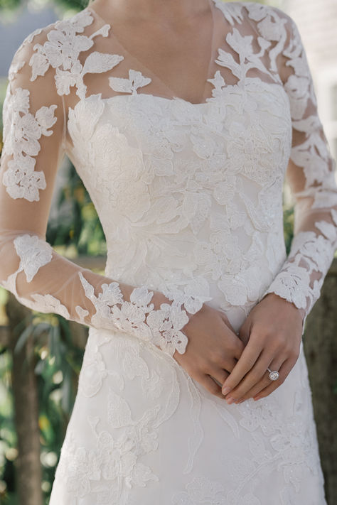 Transform your wedding dress from strapless to long-sleeved elegance with the Eternal Top from Anne Barge. This exquisitely embroidered topper pairs beautifully with our best-selling strapless gowns, adding a touch of timeless sophistication. Lace Wedding Dress Topper, Wedding Dress Topper, Curvy Wedding Dress, Lace Top Wedding Dress, Strapless Lace Wedding Dress, Curvy Wedding, Dress Topper, Anne Barge, Long Sleeve Wedding Dress