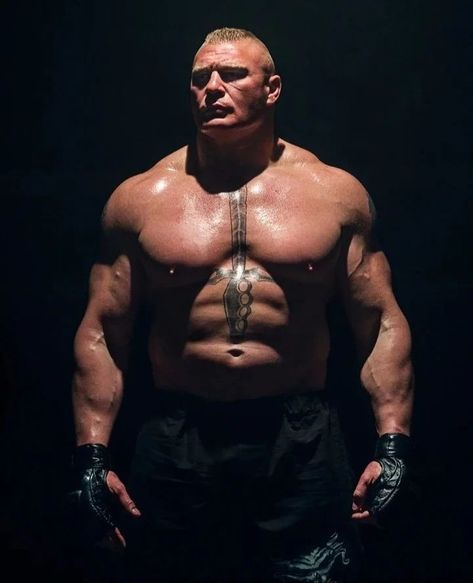 Brock Lesnar Ufc, Brock Lesnar Wwe, Beast Workout, Wwe Wrestlemania, Wrestling Posters, Wwe Pictures, Wrestling Wwe, Brock Lesnar, In The Shadows