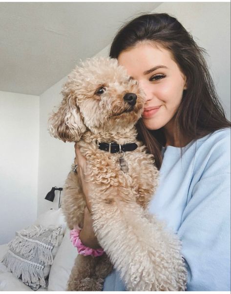 Jess Conte, A Dog, Best Friend, Dogs, Instagram