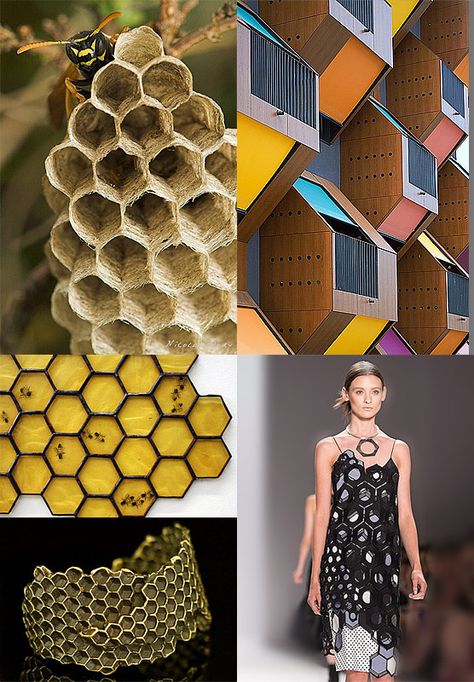 hexagonal Honeycomb Color Palette, Bee Moodboard, Bee Cottage, Honeycomb Jewelry, Higher Art, Theme Board, Geometry In Nature, Pencil Artwork, Colored Pencil Artwork