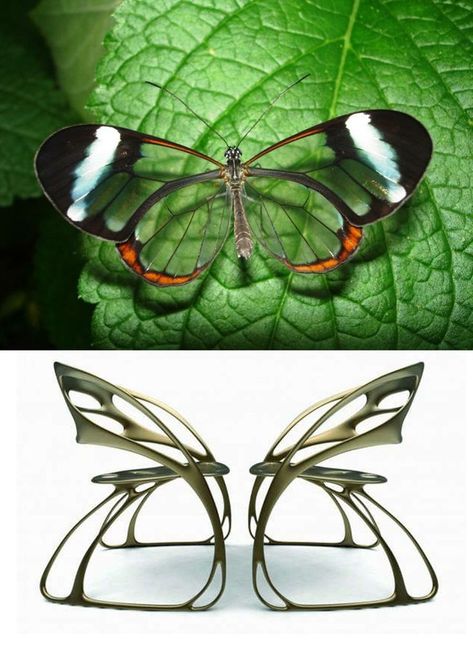 Instagram Design, Bionic Design, تصميم الطاولة, Furniture Design Sketches, Industrial Design Sketch, Objet Design, Chaise Design, Creative Furniture, Butterfly Chair