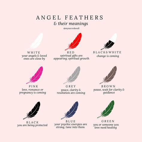 feathers are a symbol of connection to the spiritual realm. here’s some meanings behind their colours 🪶✨🪽 www.mysacredsoul.co.uk #signs #payattentiontothesigns #signsfromtheuniverse #signsfromabove #signsfromspirit #signsfromheaven #feathers #feathermeanings #synchronicity #synchronicities #feathermeanings #angelsigns #crystalshop #crystalshopuk #intuitivehealer #crystalhealer Feather Meaning Spiritual, Spiritual Meaning Of Feathers, Feather Symbolism Meaning, Feathers Spiritual Meaning, Feather Meaning Symbols Spiritual, Feather Spiritual Meaning, Feather Symbolism, Feather Signs, Feather Tattoo Meaning