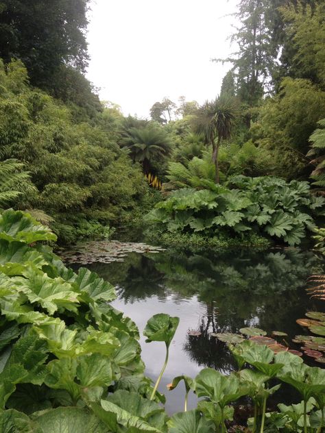 The Lost Gardens of Heligan Beautiful Ponds, Dragonfly Pond, Land Scaping, Lost Gardens Of Heligan, Enchanted Gardens, English Garden Design, Lost Garden, Garden Water Feature, Pool Fountain