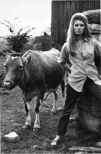 A young Martha Stewart A Cow, Martha Stewart, A Woman, Cow