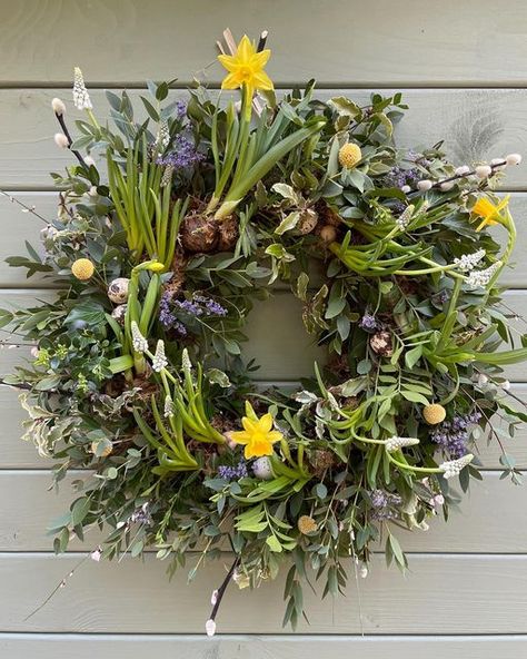 The Petal Shed on Instagram: "Luxury Spring Wreath Workshop Join myself and Dawn @sunnyviewflowers for another of our relaxed, creative workshops making your own fresh mossed wreath. Under our careful guidance we will teach and support you to create your masterpiece. Your living wreath will be full of spring goodies including bulbs such as narcissi tête-à-tête and fresh scented foliage. All materials, tools and refreshments are included and costs £65 per person. Sunday 12th March at Allostoc March Wreath, Living Wreaths, Bulb Wreath, Wreath Workshop, Herb Wreath, Spring Door Wreath, Spring Flower Wreath, Easter Door Wreaths, Living Wreath