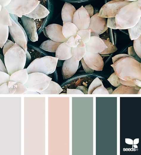 Design Seed, Apartment Color Schemes, Bedroom Color Schemes, Design Seeds, Bathroom Colors, Painting Bathroom, Bedroom Colors, Colour Schemes, Wedding Color Schemes