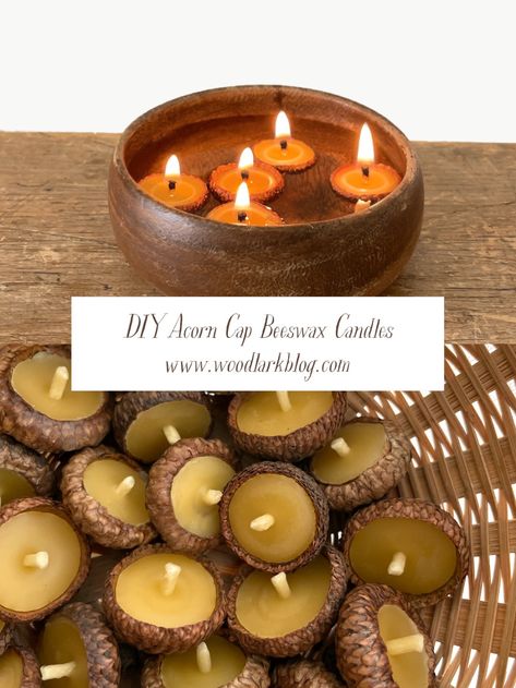 Acorn Shell Crafts, Acorn Candle Holder, Acorn Floating Candles, Floating Acorn Candles, Acorn Cap Candles, Handmade Beeswax Candles, Diy Natural Decorations, Beeswax Diy Ideas, Walnut Shell Crafts Diy