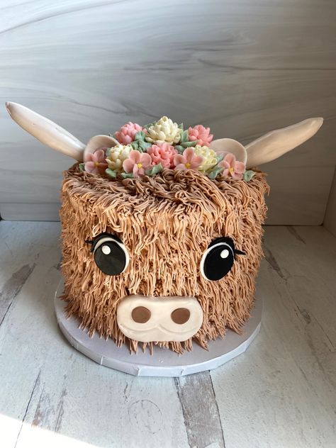 Farm Decorated Cake, Fluffy Cow Cake Ideas, Highland Cow Bday Party, Highland Cow Birthday Cake Ideas, Diy Highland Cow Cake, Highlander Cow Cupcakes, Easy Highland Cow Cake, Buttercream Cow Cake, Cow Cakes Birthday