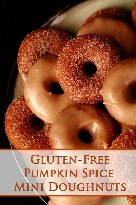 Close up view of gluten-free pumpkin spice mini doughnuts. Some are coated in cinnamon sugar, others are glazed with a tan coloured maple frosting. Gluten Free Doughnuts, Gluten Free Pumpkin Spice, Pumpkin Doughnut, Mini Donuts Maker, Gluten Free Yeast Free, Pumpkin Spice Donut, Donut Maker, Mini Doughnuts, Gluten Free Donuts