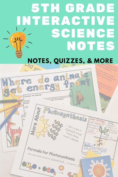 Are you looking for 5th grade science notes? Interactive science notebooks help keep even the messiest students organized. These science doodle notes for 5th grade include games, quizzes, and projects. Students can refer to the 5th grade science worksheets for writing activities and studying. Click to visit my blog and learn more. Grade 5 Science, 5th Grade Science Classroom, Fifth Grade Science, 5th Grade, 5e Science Lesson Plans Elementary, Elementary Science Notebook, 6th Grade Interactive Notebook Math, Science Staar Review 5th Grade, Science Doodles