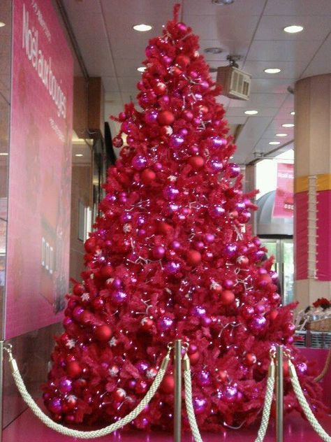 Dark pink Christmas tree Pink Xmas, Pink Christmas Decorations, Red Christmas Tree, Christmas Time Is Here, Pink Trees, Pink Christmas Tree, Beautiful Christmas Trees, Noel Christmas, Christmas Love