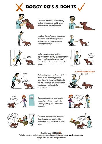 this is good to know for first time puppy owners! Dog Infographic, Dog Body Language, Cesar Millan, Best Dog Training, Dog Facts, Pet Hacks, Dog Obedience, Dog Training Obedience, Pet Training