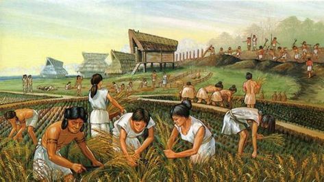 Ancient farmers. (Heritage of Japan) History, World History, Neolithic Revolution, Human Society, Buzzfeed, Dolores Park, Period, Human