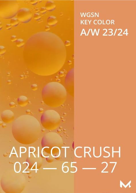 APRICOT CRUSH – 024-65-27 is one of the WGSN key colors Fall/Winter 23/24.this bright but pale orange tone gives fresh energy to the colour palette; it provides warmness and joy to neutral or playful colour tones.Discover the key colors Winter 23/24 by WGSN and COLORO colour system for fashion designers, colour ranges,colour palettes, future trend, design process apparel design womenswear, activewear, athleisure. Aw23 Colour Trend, Colors Fall Winter 23/24, Fall Winter 23/24, Wgsn 2024, Color Trends 2024, Apricot Crush, Design Color Trends, Aw 23, Fall Winter Fashion Trends