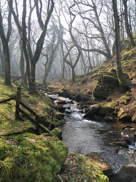 Matka Natura, Alam Yang Indah, English Countryside, Nature Aesthetic, Pretty Places, In The Woods, Nature Pictures, Belle Photo, Beautiful World