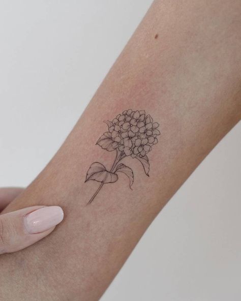 Hydrangea Tattoos, Hydrangea Tattoo, Black Hydrangea, Maching Tattoos, Cream Tattoo, Fineline Tattoo, Small Hand Tattoos, Tattoo Cover, Dainty Tattoos