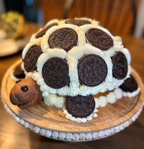 #lovethis #turtle #oreo #cake #cakeart #cakedesign would you try and make this cake? Artichoke Casserole, Turtle Birthday Cake, Turtle Cake, Chicken Spinach, Cool Cake Designs, Easy Cake Decorating, Oreo Cake, Spinach Artichoke, Take The Cake