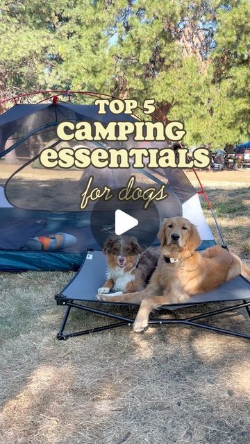 Camping Dog Hacks, Camping Hacks With Dogs, Dog Camping Essentials, Camping With Dogs Hacks, Camping With A Dog, Camping Dog Bed, Ultralight Travel, Dog Station, Camping With Dogs