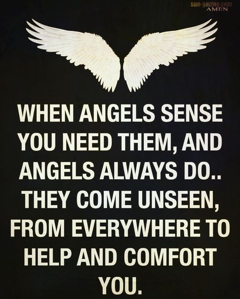 Angel Sayings, Guardian Angel Quotes, Guardian Angel Images, Sun Gazing, Consciousness Quotes, Daily Life Quotes, Angel Quotes, Angel Prayers, Bible Quotes Images