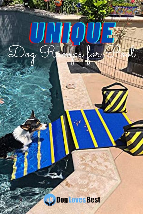 Dog pool exit ramp Dog Dock Ramp, Diy Dog Ramp For Above Ground Pool, Above Ground Pool Dog Ramp, Diy Dog Pool Ramp, Pool Dog Ramp, Diy Dog Ramp, Pool Ramp, Swimming Pool Above Ground, Dog Pool Ramp